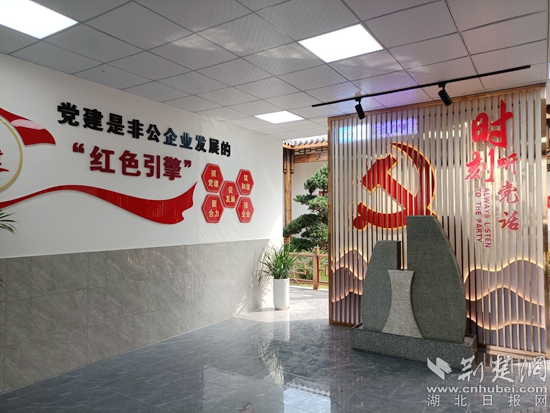 長江礦業(yè)非公黨建1.jpg