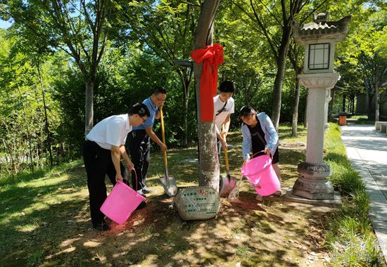 葉家樂(lè)一家給櫸樹(shù)松土、澆水_副本.jpg