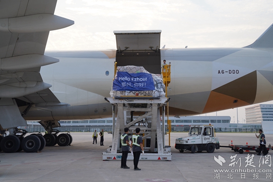 機務人員卸下貨物。金康 攝.jpeg