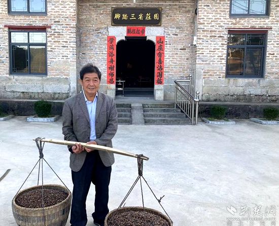 何道關(guān)與自己種的油茶果。黃錚 攝_副本.jpg.jpg