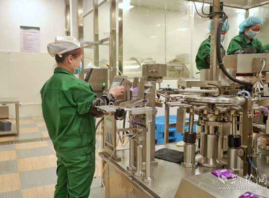 興龍生態(tài)觀光工廠。通訊員 劉承群 供圖_副本.png.png